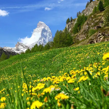 Zur Matte B.10 * Zermatt